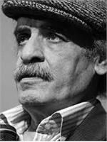 ایرج صغیری